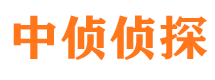 安塞市调查公司